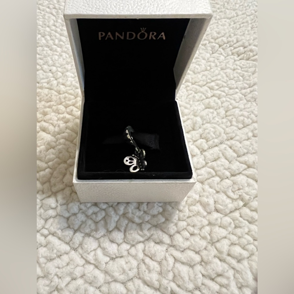 Pandora charm